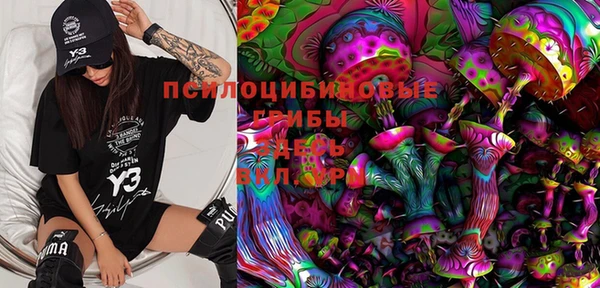 ECSTASY Липки