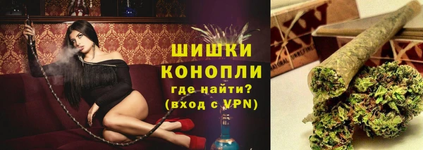 спиды Лиски