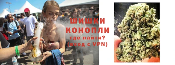 спиды Лиски